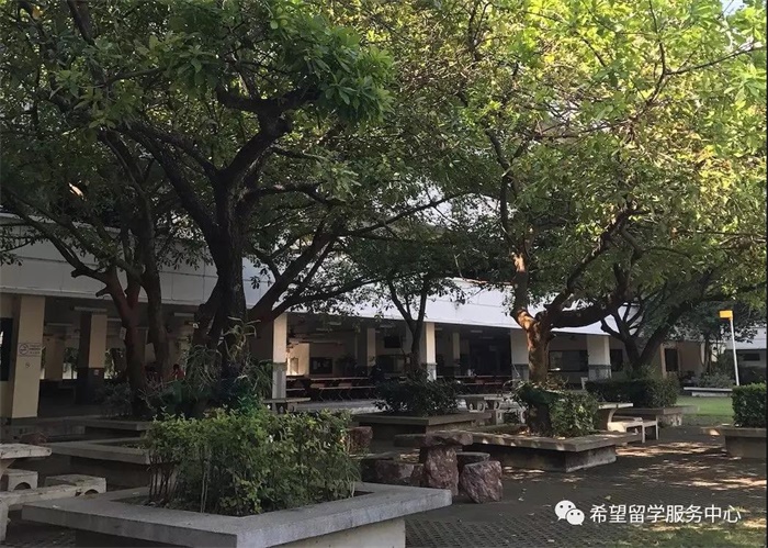 1577158615916232.jpg 1012.jpg