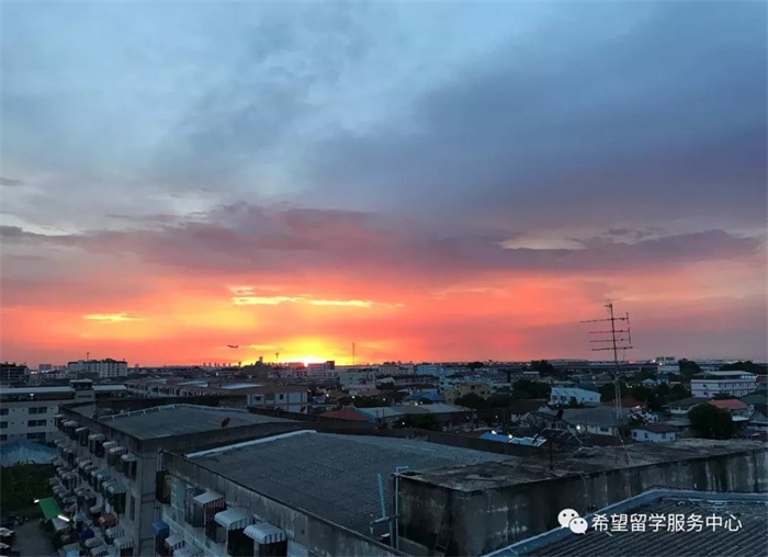 1577158735498738.jpg 10136.jpg